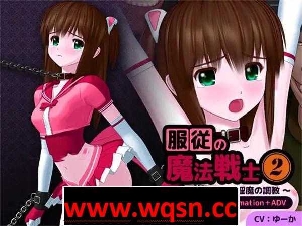 【大型HAG/全动态】服从の魔法战士2～银魔の调教～ DL正式版【新作/PC+安卓/3.4G】 - 万千少女游戏网-万千少女游戏万千少女游戏网